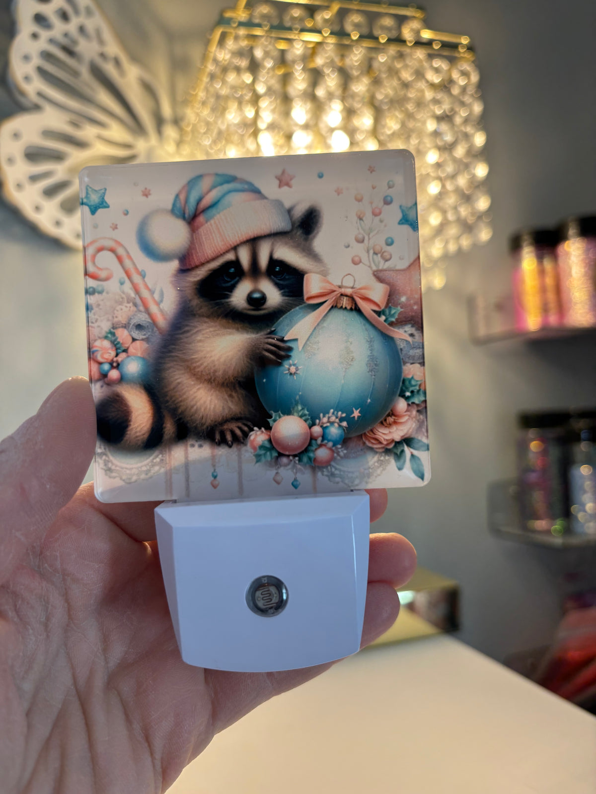 Raccoon Christmas Nighight