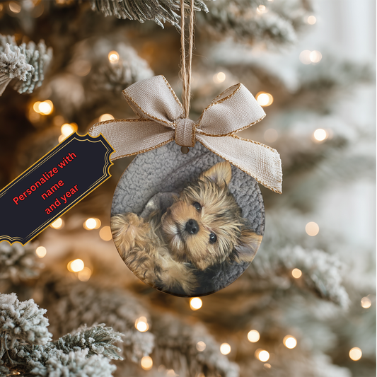 Personalized Christmas Ornament